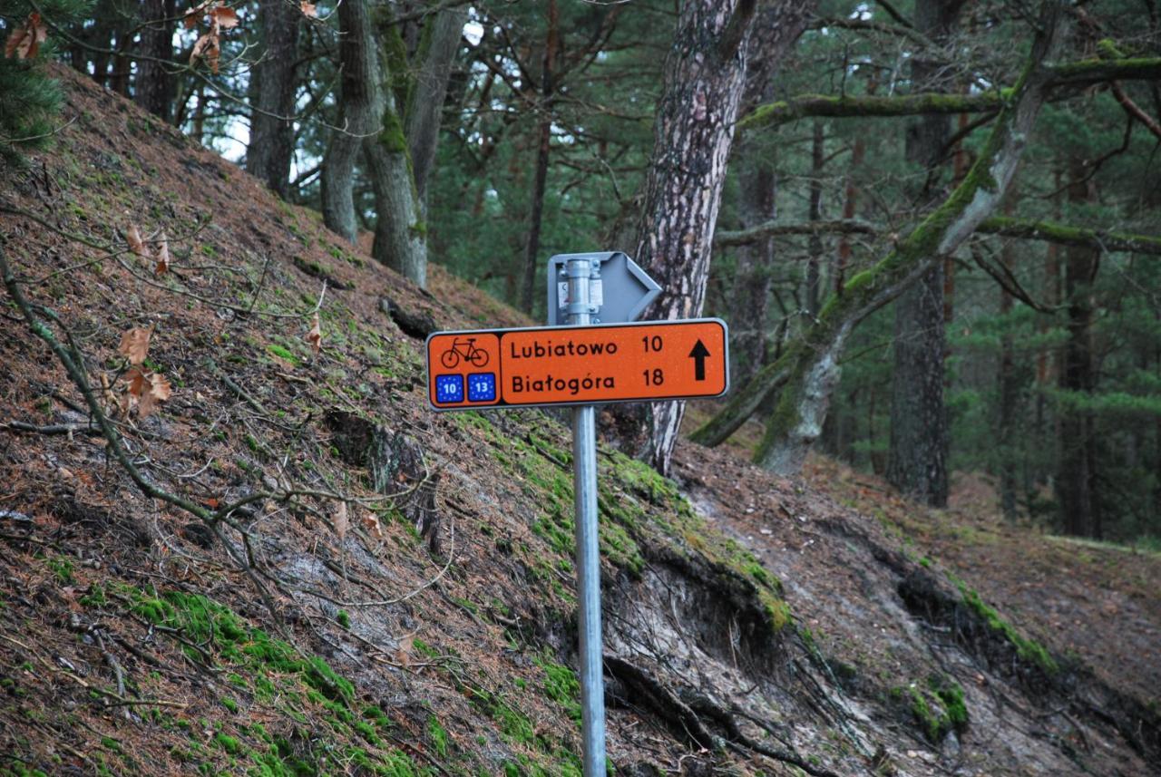 Forest House Sasino-Spa Sauna Balia Bagian luar foto