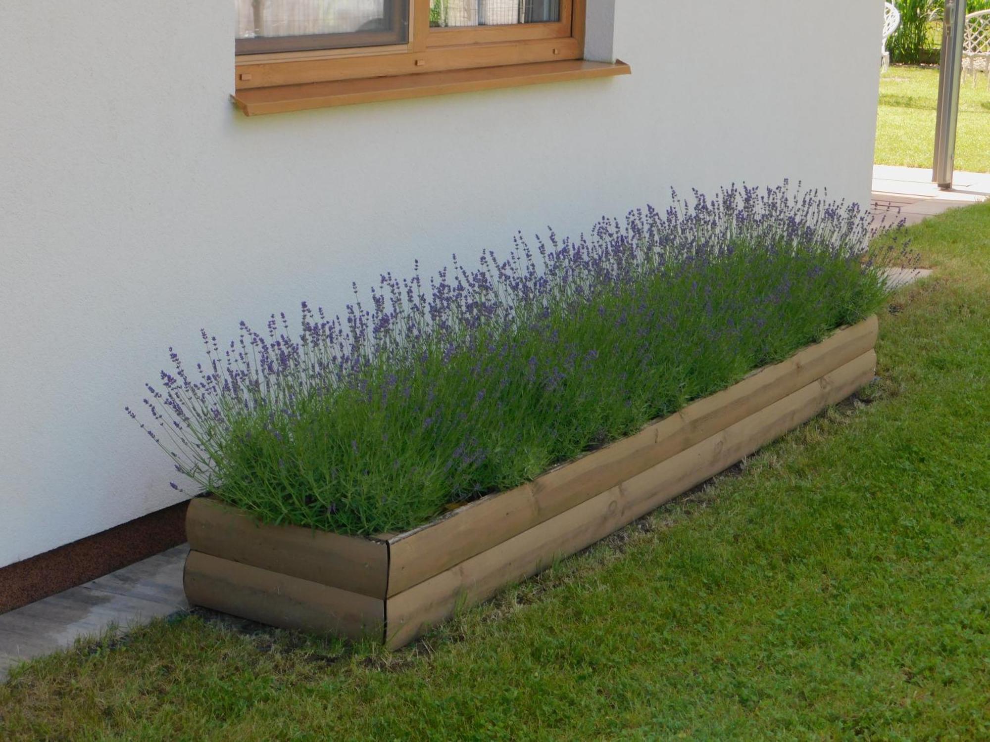 Forest House Sasino-Spa Sauna Balia Bagian luar foto